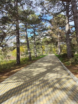 Продам трехкомнатную (3-комн.) квартиру, Научная ул, 17, Вилино с