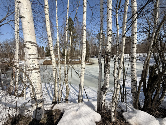 Продам участок 20 соток, Фермерское хоз., Никиткино д, 0 км от города