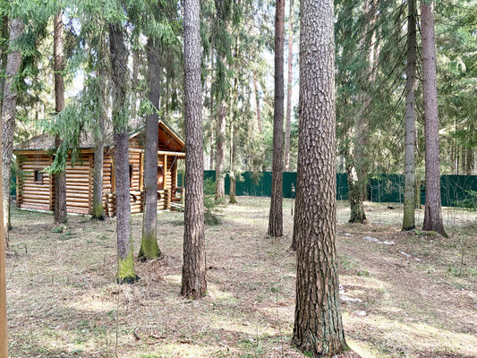 Продам дом, Ольховая (Самар-1 тер) ул, Гжелка п, 0 км от города