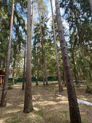 Продам дом, Ольховая (Самар-1 тер) ул, Гжелка п, 0 км от города