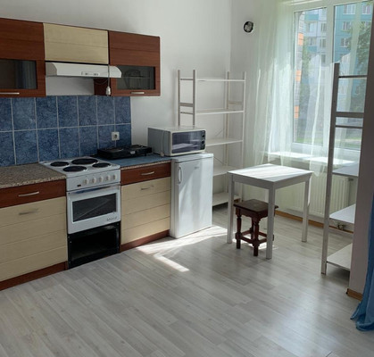 Сдам однокомнатную (1-комн.) квартиру, Пискарёвский пр-кт, 40к2, Санкт-Петербург г