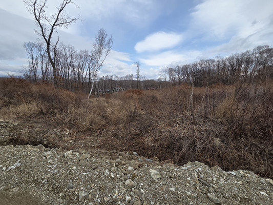 Продам участок 1 370 соток, ИЖС, Козина ул, 34, Находка г, 0 км от города