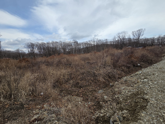 Продам участок 1 370 соток, ИЖС, Козина ул, 34, Находка г, 0 км от города