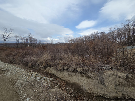 Продам участок 1 370 соток, ИЖС, Козина ул, 34, Находка г, 0 км от города