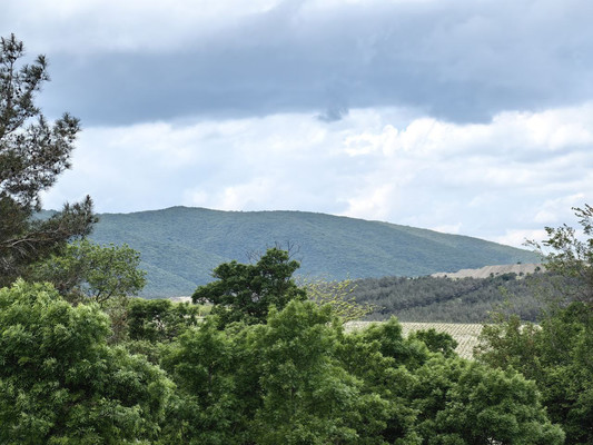 Продам дом, Бориса Пастернака ул, 14, Геленджик г, 0 км от города