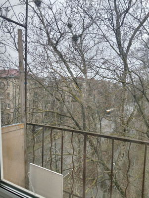 Продам однокомнатную (1-комн.) квартиру, Жуковского ул, 8, Жуковский г