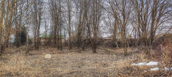 Продам участок 10 соток, Фермерское хоз., объединение Кедр тер, Яхрома г, 0 км от города