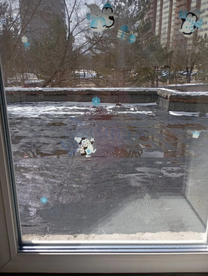 Сдам однокомнатную (1-комн.) квартиру, Попова ул, 16, Красноярск г