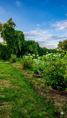 Продам дом, Новая ул, 40, Первомайское с, 0 км от города