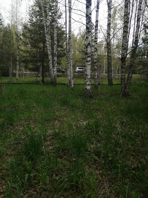 Продам участок 16 соток, ИЖС, Худынино д, 0 км от города