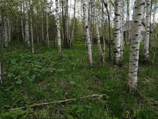 Продам участок 16 соток, ИЖС, Худынино д, 0 км от города