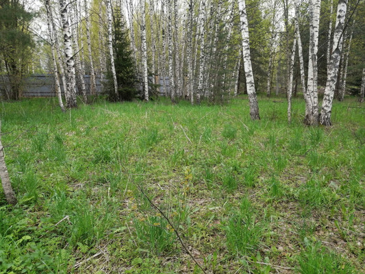 Продам участок 16 соток, ИЖС, Худынино д, 0 км от города