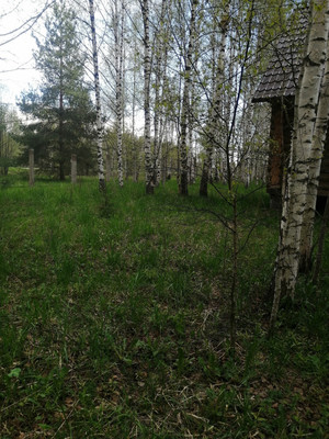 Продам участок 16 соток, ИЖС, Худынино д, 0 км от города