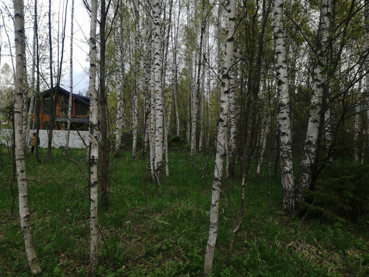 Продам участок 16 соток, ИЖС, Худынино д, 0 км от города