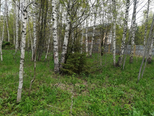 Продам участок 16 соток, ИЖС, Худынино д, 0 км от города