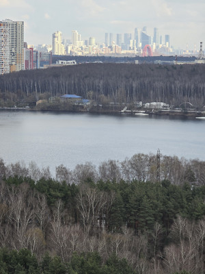 Продам однокомнатную (1-комн.) квартиру, 100 кв-л, 1к3, Москва г