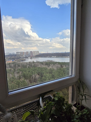 Продам однокомнатную (1-комн.) квартиру, 100 кв-л, 1к3, Москва г