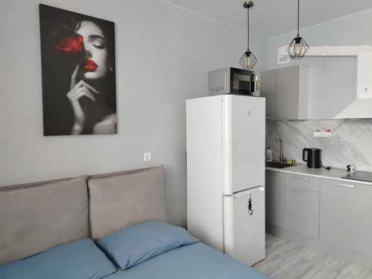 Сдам однокомнатную (1-комн.) квартиру, Красина ул, 53, Цемдолина с