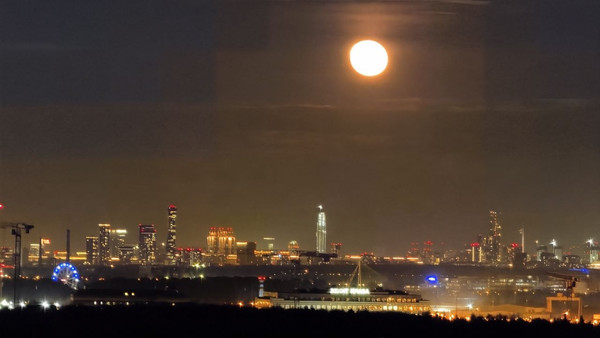 Продам однокомнатную (1-комн.) квартиру, 100 кв-л, 1к3, Москва г