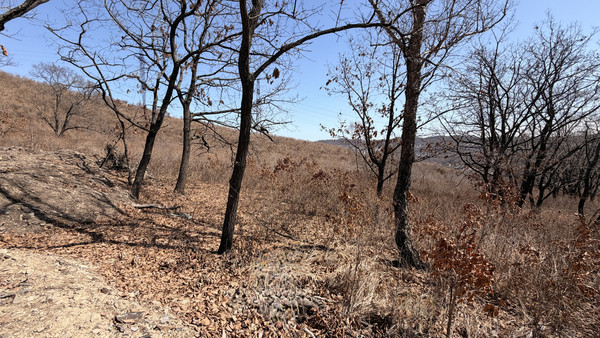 Продам участок 14 соток, ИЖС, Лазо ул, Находка г, 0 км от города