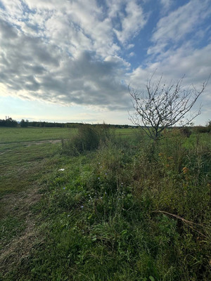 Продам дом, 67б, Любучаны п, 0 км от города