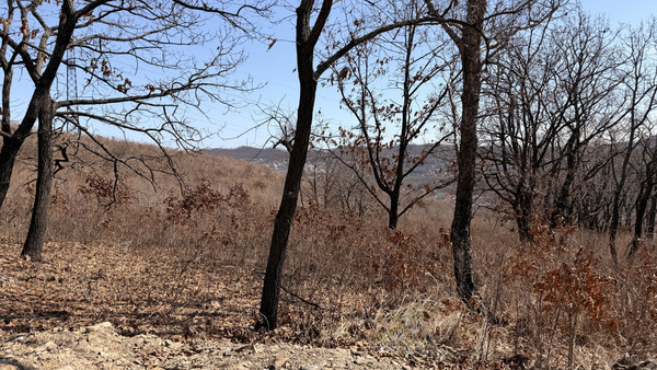 Продам участок 14 соток, ИЖС, Лазо ул, Находка г, 0 км от города