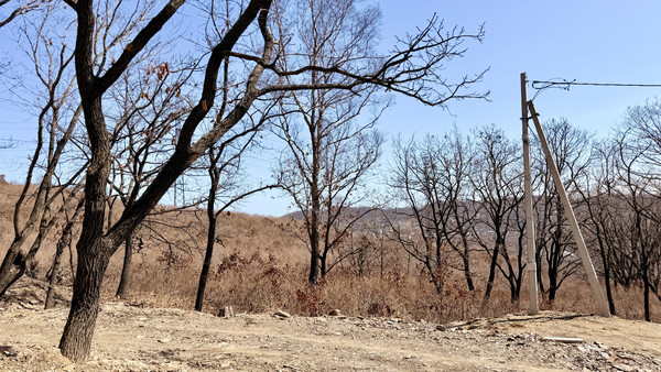 Продам участок 14 соток, ИЖС, Лазо ул, Находка г, 0 км от города