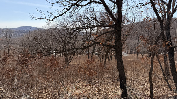 Продам участок 14 соток, ИЖС, Лазо ул, Находка г, 0 км от города