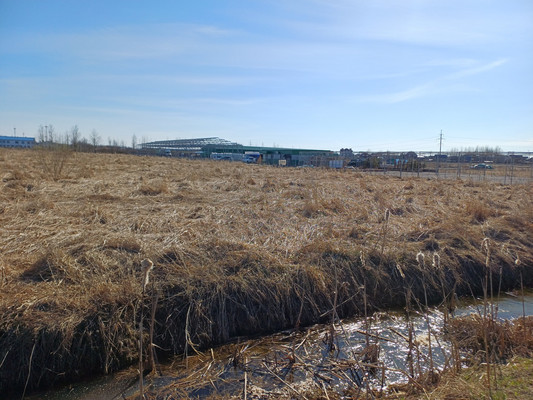 Продам участок 142 соток, ИЖС, Новая Мельница д, 0 км от города