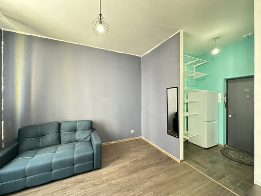 Продам однокомнатную (1-комн.) квартиру, Ручьевский пр-кт, 15, Мурино п