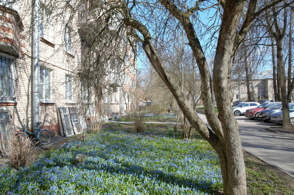 Продам однокомнатную (1-комн.) квартиру, Михайловская ул, 18аА, Ломоносов г