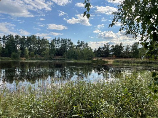 Продам дачу, Кузяево д, 0 км от города