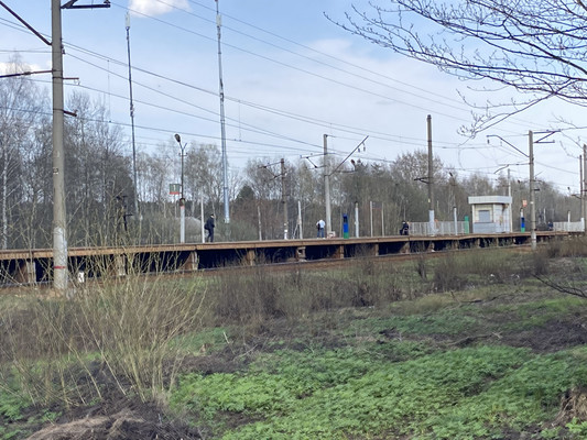 Продам дачу, Кузяево д, 0 км от города