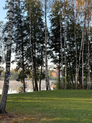 Продам участок 9,83 соток, ИЖС, поселок Иваново подворье, Озерная ул, Ивановское с, 45 км от города