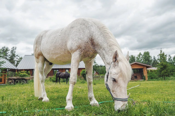 Продам участок 13,3 соток, ИЖС, поселок Ивановское подворье, Ивановское с, 45 км от города
