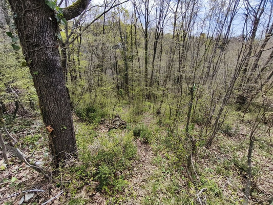 Продам участок 3 соток, ИЖС, Дачная ул, Туапсе г, 0 км от города