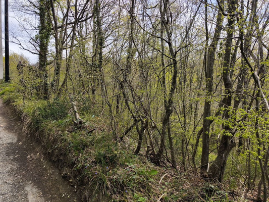 Продам участок 3 соток, ИЖС, Дачная ул, Туапсе г, 0 км от города