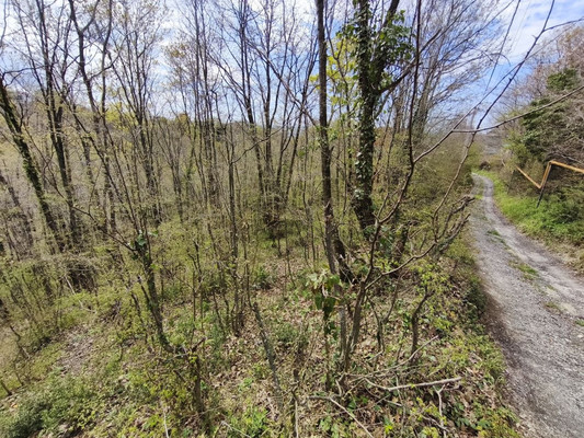 Продам участок 3 соток, ИЖС, Дачная ул, Туапсе г, 0 км от города