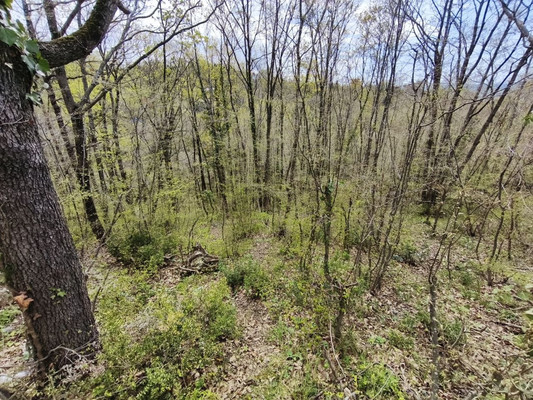 Продам участок 3 соток, ИЖС, Дачная ул, Туапсе г, 0 км от города