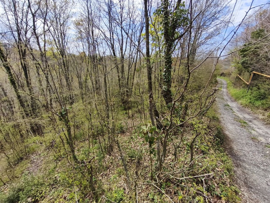 Продам участок 3 соток, ИЖС, Дачная ул, Туапсе г, 0 км от города