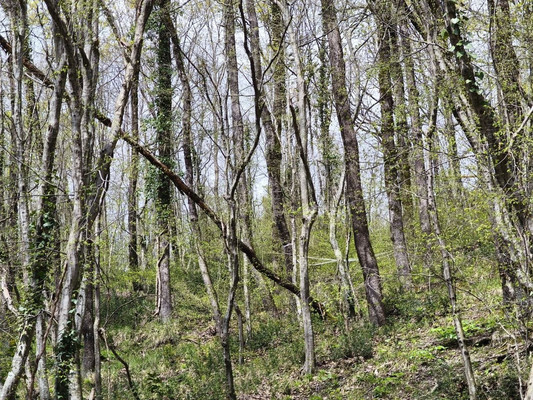 Продам участок 3 соток, ИЖС, Дачная ул, Туапсе г, 0 км от города