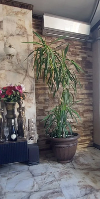 Продам трехкомнатную (3-комн.) квартиру, Оружейный пер, 11/2, Ростов-на-Дону г