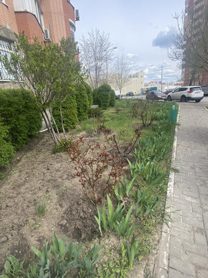 Продам трехкомнатную (3-комн.) квартиру, Оружейный пер, 11/2, Ростов-на-Дону г