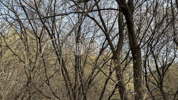 Продам двухкомнатную (2-комн.) квартиру, Петра Алексеева ул, 14, Москва г