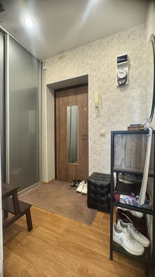 Продам однокомнатную (1-комн.) квартиру, Перевозный пер, 19к1, Санкт-Петербург г