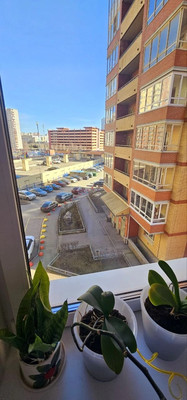 Продам двухкомнатную (2-комн.) квартиру, Бадаева ул, 14Ак1, Санкт-Петербург г