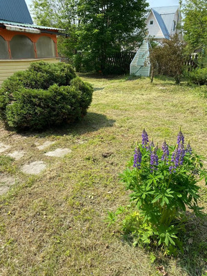 Продам дачу, Талицы д, 0 км от города