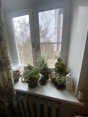 Продам двухкомнатную (2-комн.) квартиру, Куликова ул, 5, Иваново г