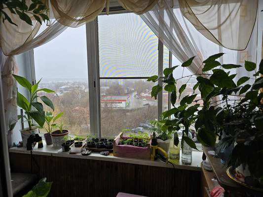 Продам многокомнатную квартиру, Керамзавода ул, 38, Рязань г