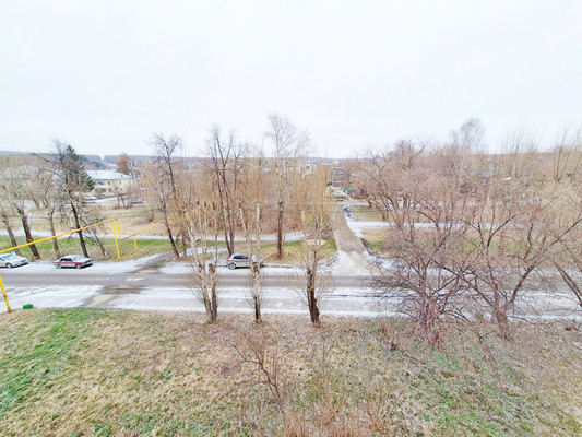 Продам однокомнатную (1-комн.) квартиру, Ленина ул, 20, Шабровский п